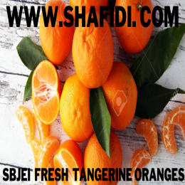 FRESH TANGERINE ORANGES